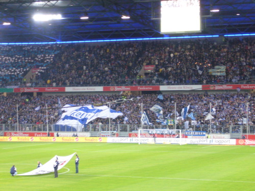 MSV Duisburg - VfL Bochum - photo